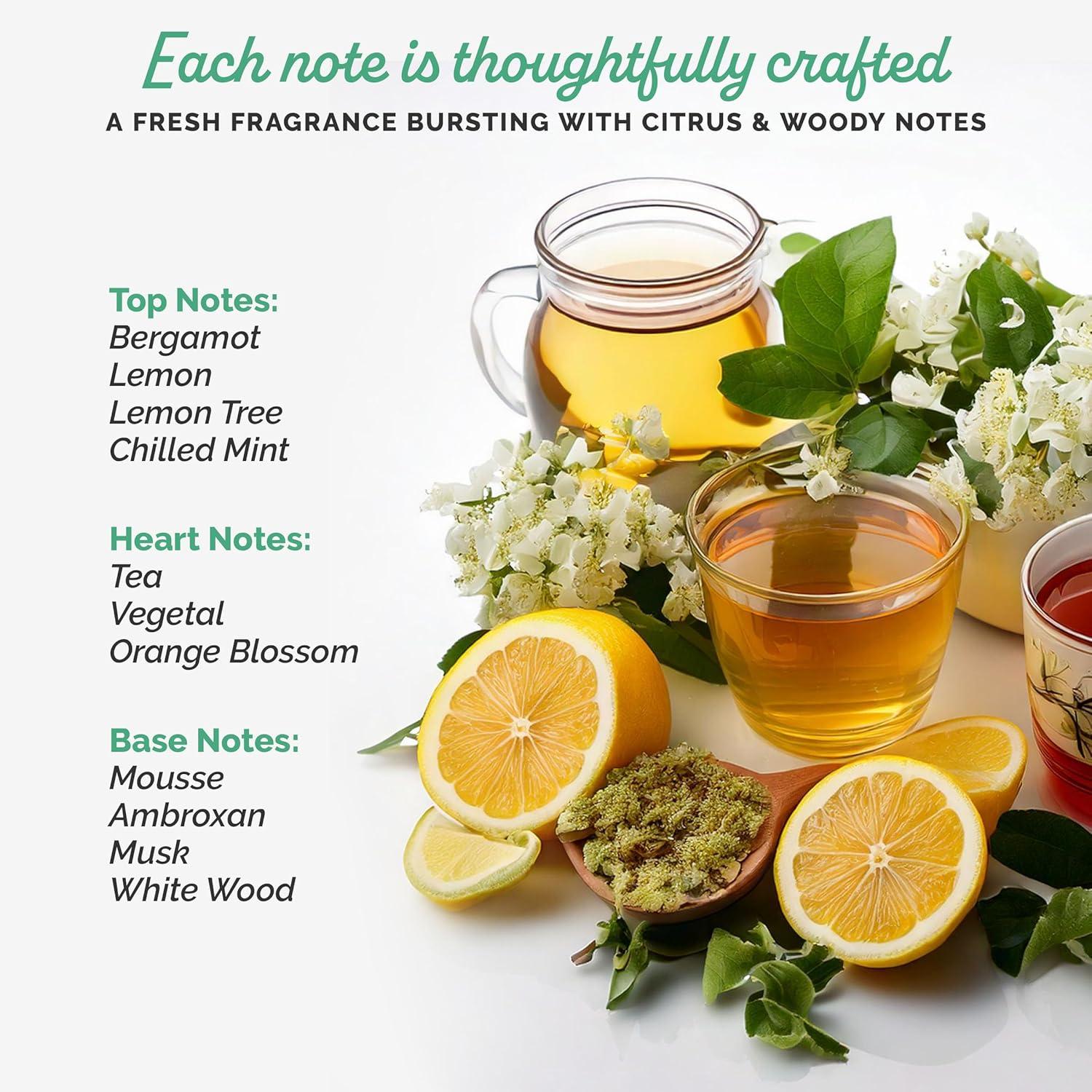 imageSophie la girafe Eau de Toilette Includes Sophie Teether Nostalgic Childhood Scent of Citrus ampamp Vanilla 50 ml or 17 fl ozMy Petite Cologne