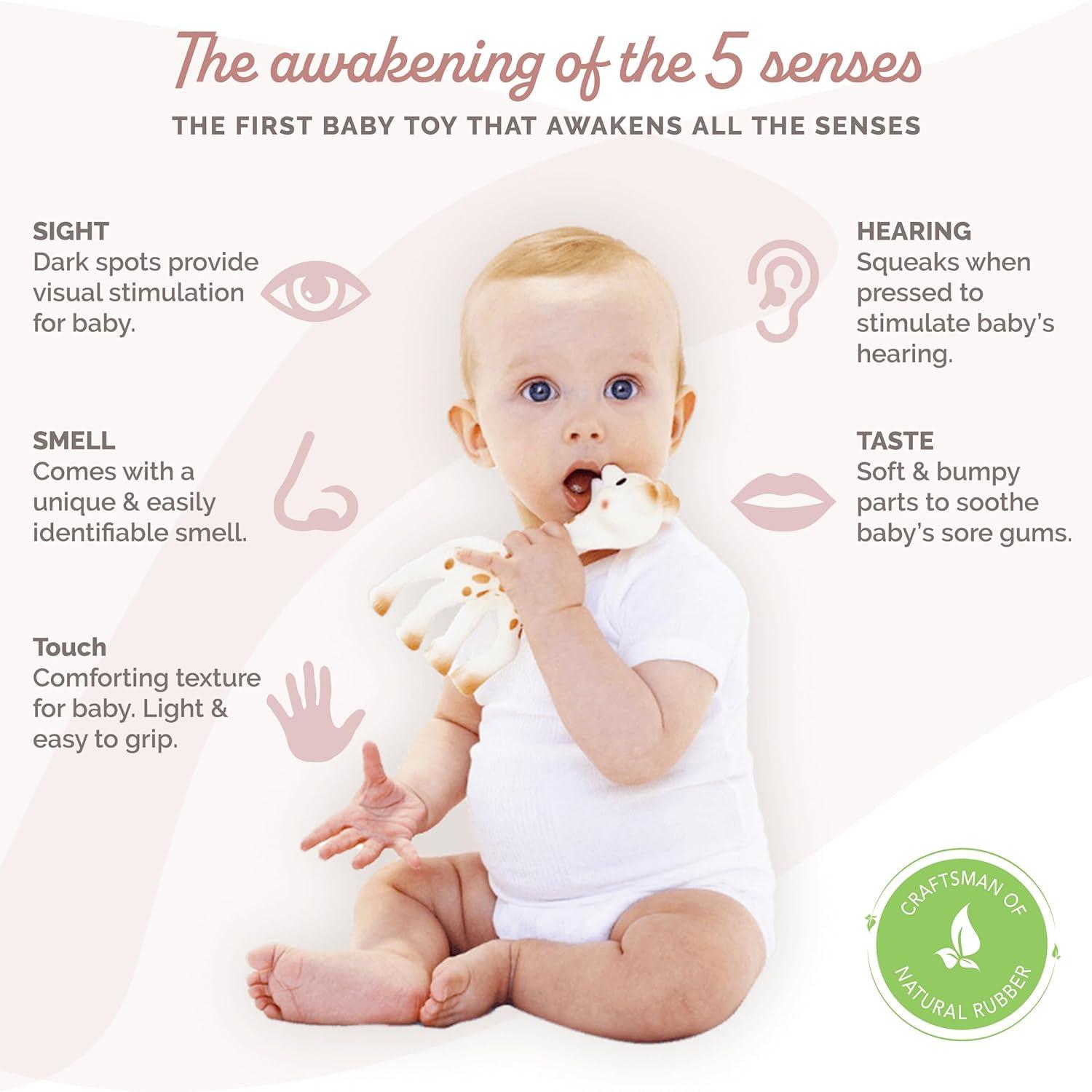 imageSophie la girafe Fresh Touch Handcrafted for 60 Years in France Natural Rubber Designed for Teething Babies Awaken All 5 Senses Easy to Clean