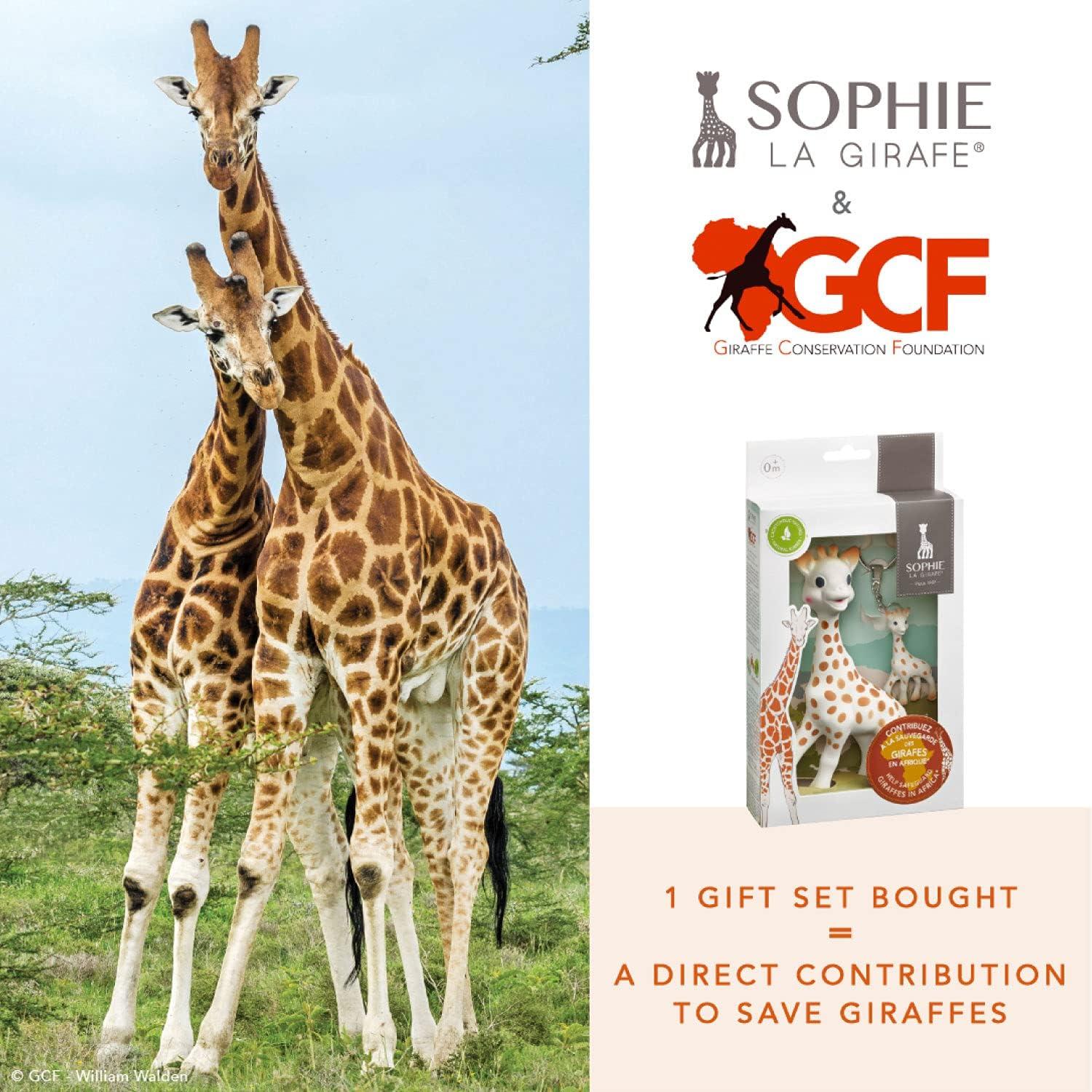 imageSophie la Girafe Coffret x GCF Giraffe Conservation Foundation